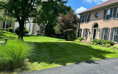 Photo of Sean T.'s yard after getting lawn care in Kenner, LA
