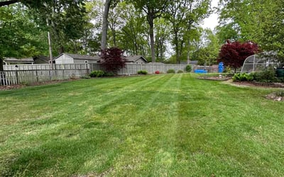 Photo of Kellen S.'s yard after getting lawn care in Jeffersonville, IN