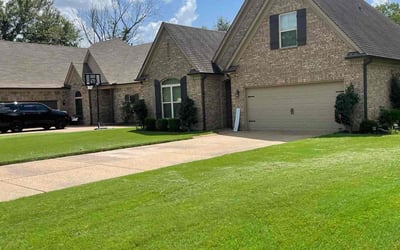 Photo of Felipe M.'s yard after getting lawn care in Southaven, MS