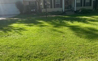 Photo of Cathy S.'s yard after getting lawn care in Mandeville, LA