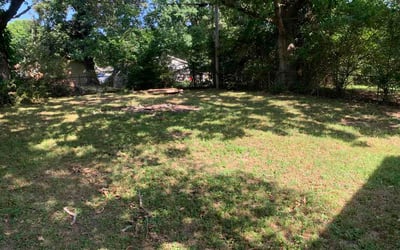 Photo of Erin M.'s yard after getting lawn care in Smithtown, NY