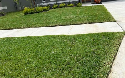 Photo of David R.'s yard after getting lawn care in Dade City, FL