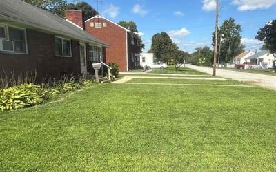 Photo of Bruce H.'s yard after getting lawn care in Salem, NJ