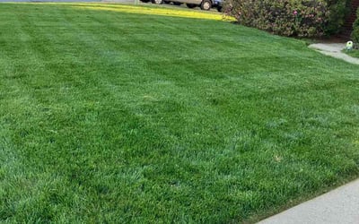 Photo of Reina G.'s yard after getting lawn care in Salisbury, NC