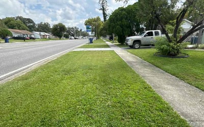 Photo of Rebecca D.'s yard after getting lawn care in New Port Richey, FL