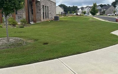 Photo of Jill J.'s yard after getting lawn care in Virginia Beach, VA