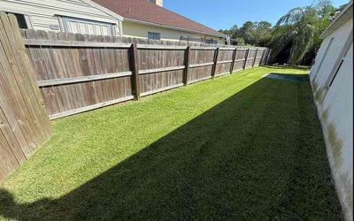 Photo of Brandon B.'s yard after getting lawn care in Yucaipa, CA