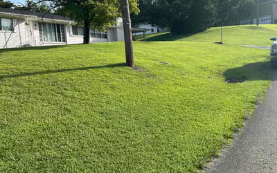 Photo of James M.'s yard after getting lawn care in Gardendale, AL