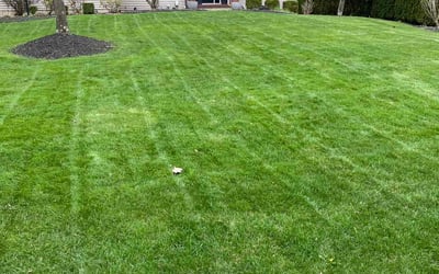 Photo of Logan M.'s yard after getting lawn care in Clifton Park, NY