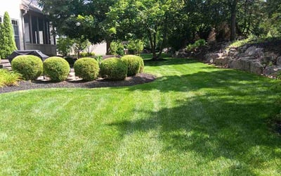 Photo of Dominic N.'s yard after getting lawn care in West Bend, WI