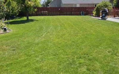 Photo of Patricia C.'s yard after getting lawn care in Leesburg, FL