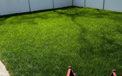 Photo of Clifton L.'s yard after getting lawn care in Inkster, MI