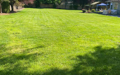 Photo of Kassidey G.'s yard after getting lawn care in Vancouver, WA