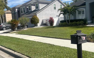 Photo of Coleen P.'s yard after getting lawn care in Winter Garden, FL