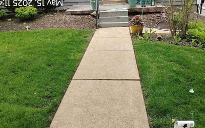 Photo of Adrian J.'s yard after getting lawn care in Elgin, IL