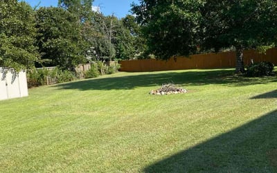 Photo of Paula M.'s yard after getting lawn care in Framingham, MA