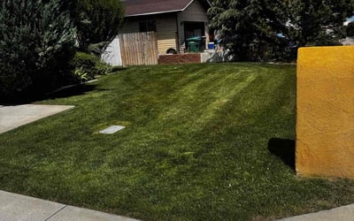 Photo of Meghna V.'s yard after getting lawn care in Royse City, TX
