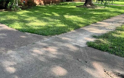 Photo of Linda F.'s yard after getting lawn care in Sarasota, FL