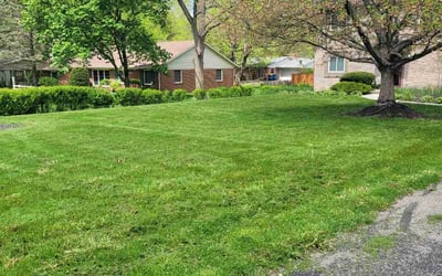 Photo of Jim S.'s yard after getting lawn care in Indianapolis, IN