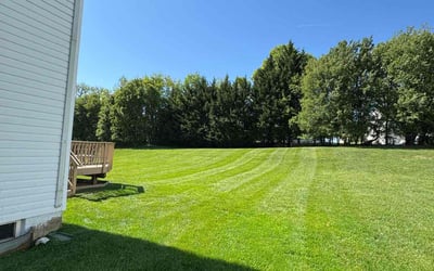 Photo of Mary K.'s yard after getting lawn care in Aspen Hill, MD
