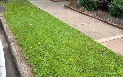 Photo of Kayla M.'s yard after getting lawn care in Selma, NC