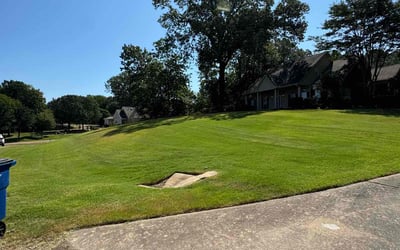 Photo of Rebeca M.'s yard after getting lawn care in Germantown, TN