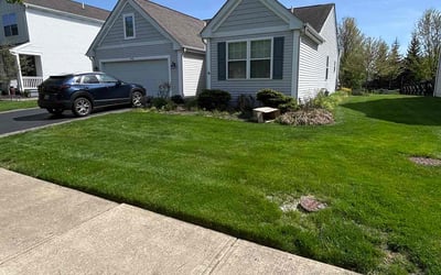 Photo of Katie M.'s yard after getting lawn care in Delaware, OH