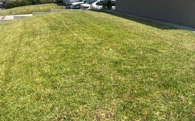 Photo of victor t.'s yard after getting lawn care in West Covina, CA