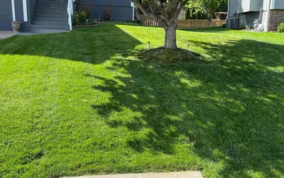 Photo of Keith G.'s yard after getting lawn care in Liberty, MO