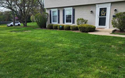 Photo of Kim M.'s yard after getting lawn care in Lombard, IL