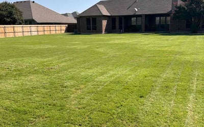 Photo of Steve W.'s yard after getting lawn care in Haslet, TX