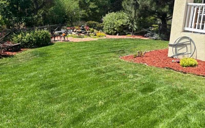 Photo of Austin B.'s yard after getting lawn care in Westminster, CO