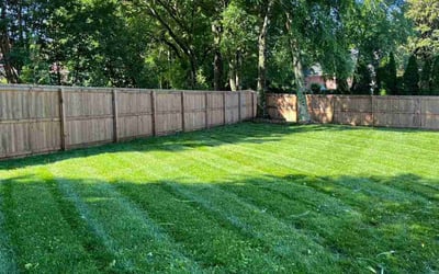Photo of Melissa C.'s yard after getting lawn care in Leesburg, FL
