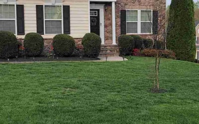 Photo of Kimberleigh P.'s yard after getting lawn care in Glen Allen, VA
