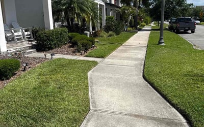 Photo of Rhiannon S.'s yard after getting lawn care in Odessa, FL