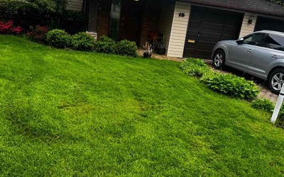Photo of Edna B.'s yard after getting lawn care in Chatham, NJ