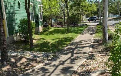 Photo of Ange R.'s yard after getting lawn care in Kyle, TX