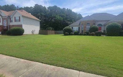 Photo of Laura C.'s yard after getting lawn care in Barnesville, GA