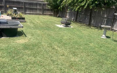 Photo of Deborah R.'s yard after getting lawn care in Chantilly, VA
