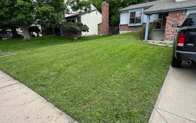 Photo of Cathleen C.'s yard after getting lawn care in Marion, IL