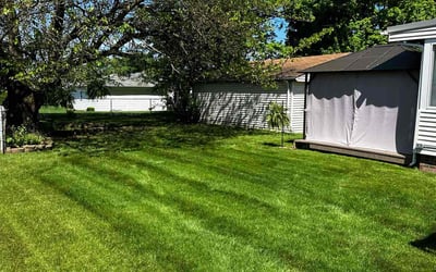 Photo of Lisa T.'s yard after getting lawn care in Parma, OH
