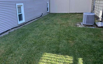 Photo of Colleen L.'s yard after getting lawn care in Niles, IL