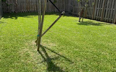 Photo of Matt O.'s yard after getting lawn care in Opa Locka, FL