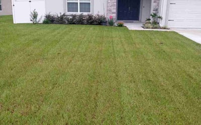 Photo of Kate N.'s yard after getting lawn care in Ocala, FL