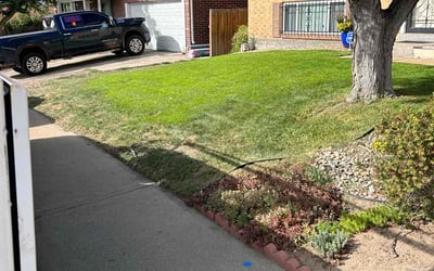 Photo of David P.'s yard after getting lawn care in Dade City, FL