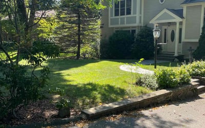 Photo of Susan K.'s yard after getting lawn care in Belmont, MA