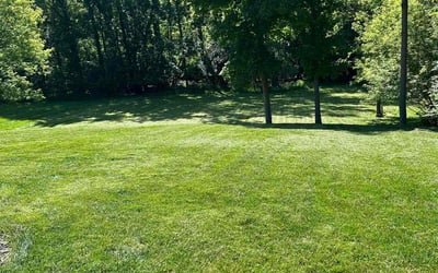 Photo of Ellenore W.'s yard after getting lawn care in Sylvania, OH