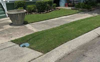 Photo of Lance T.'s yard after getting lawn care in La Place, LA