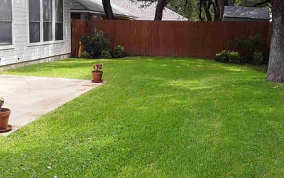 Photo of Anna Marie C.'s yard after getting lawn care in Cedar Park, TX