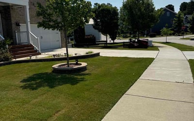 Photo of Daniel D.'s yard after getting lawn care in Wake Forest, NC